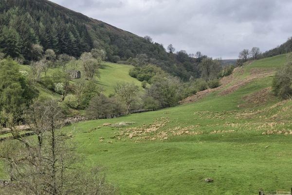 C2C Day 8 – Keld to Grinton