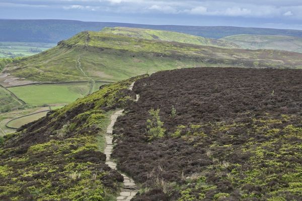 C2C Day 11 – Osmotherly to Blakey Ridge