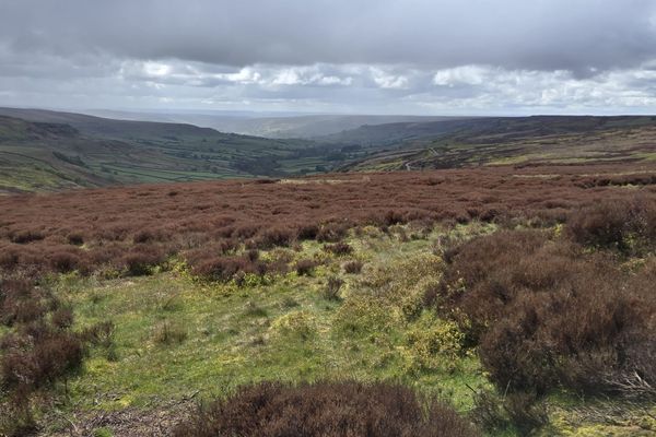 C2C Day 12 – Blakey Ridge to Egton Bridge