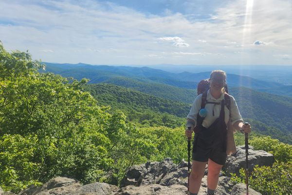 Reporting From the Heights of the Shenandoah Sunnies
