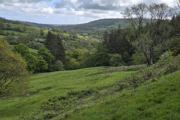 C2C Day 13 – Egton Bridge to Goathland