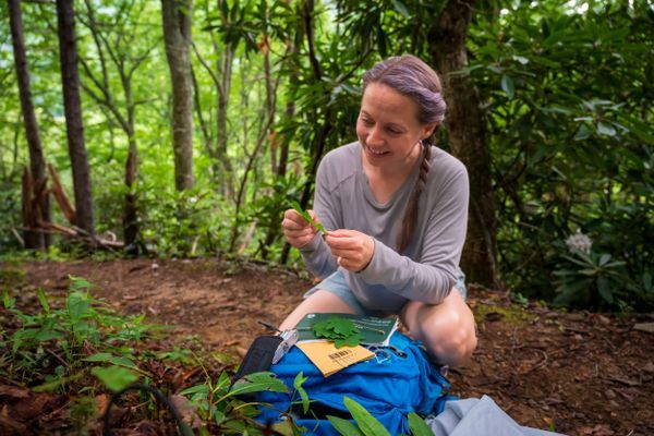 Get Paid To Turn Your Thru-Hike Into Conservation Impact This Summer