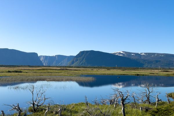 Gros Morne National Park & Haunted Hospitals: ECT Week 2
