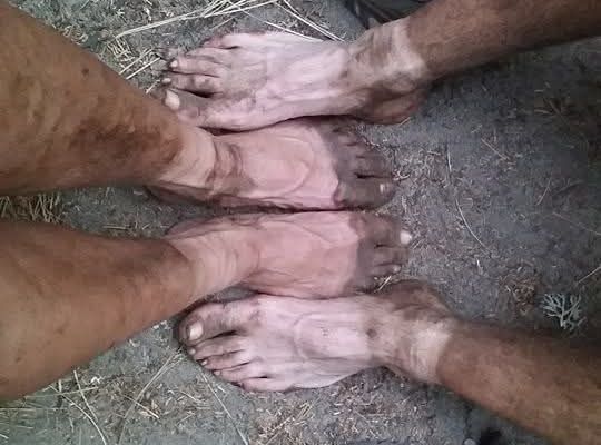 Hiker Trash.Hiker Class.