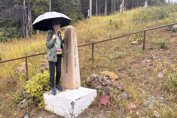 Section of CDT in Glacier National Park Closed Due to Bear Activity