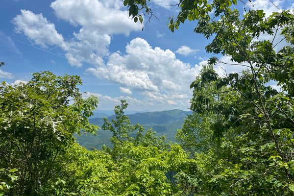 Day 18: Everything in North Carolina Wants Me Dead