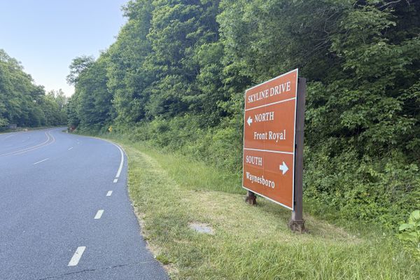 Trail Update: Shenandoah