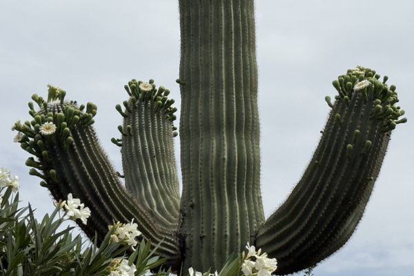 Final Thoughts on the AZT