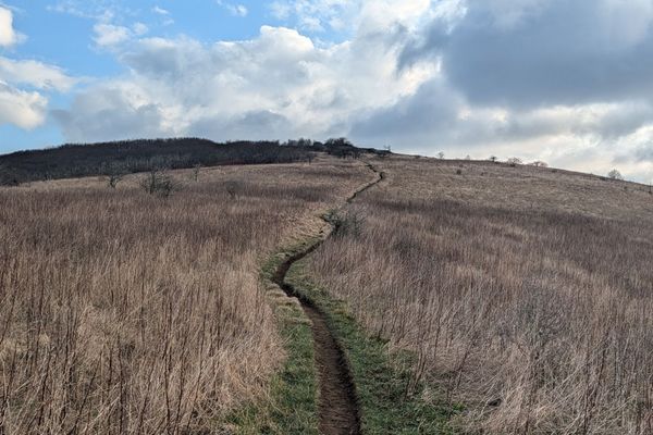 Getting Over the Hump: Finally Finding My Why