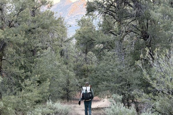 Walker Pass to Kennedy Meadows South: Farewell Desert, Hello Sierra