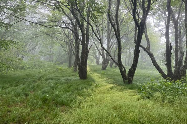 Days 24 & 25: Mist, Misery, and Mild Hatred of the Smokies