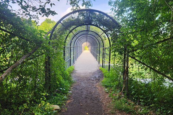 Hiking Down Memory Lane to Annapolis Rock