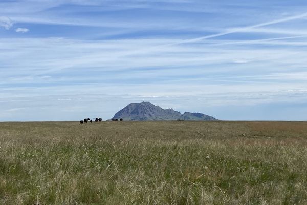 Bear Butte