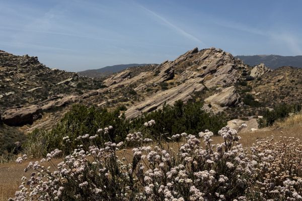 PCT Week 4: The Desert Arrives