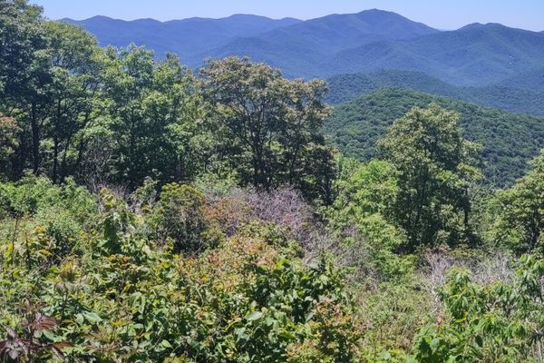 They Can Never Find Us If We Throw Away Our Phones: Dicks Creek to Wayah Gap