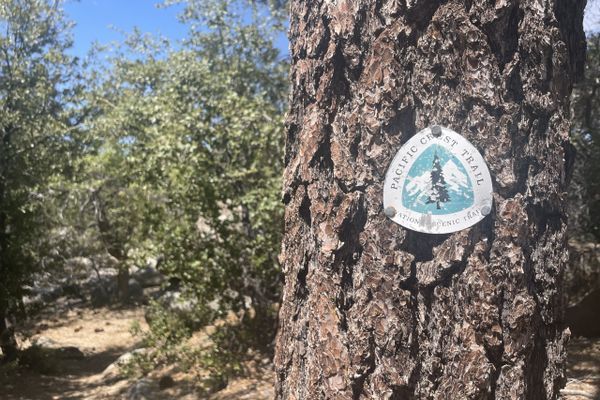 Tehachapi to Walker Pass:  Desert Heat, Windmills and Trail Angels