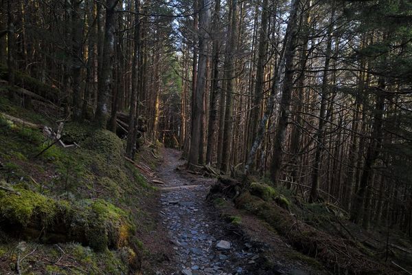 The Smokies Part 2 – 03/29-31/26