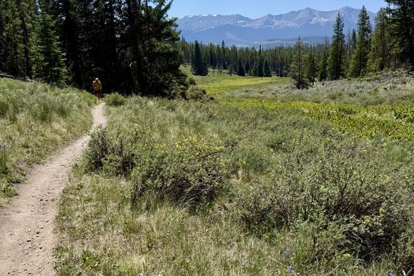 Trail Magic on the Colorado Trail: Bailey to Breck
