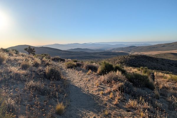 Trail Update #5: The End of the Desert and My First Bear Encounter