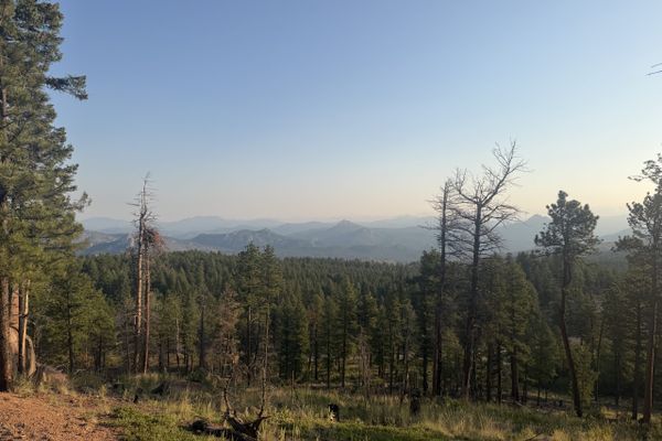 The Colorado Trail: Days 1-4