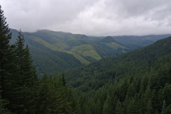 PCT Day 1
