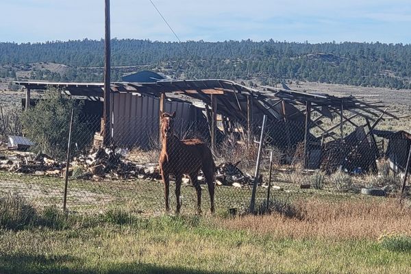 The Continental Divide Trail: What’s in Cuba, New Mexico?