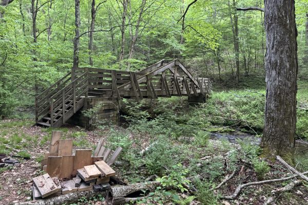 Susquehannock Trail Thru Hike Day Three: Training Time Out