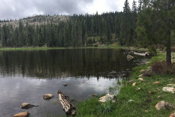 Forest Service Employees Held Hostage at Gunpoint Near PCT Have Been Released