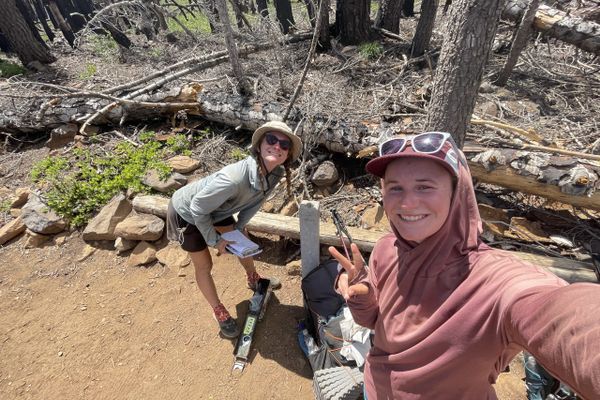 PCT Days 84 to 88: Heart of Dixie