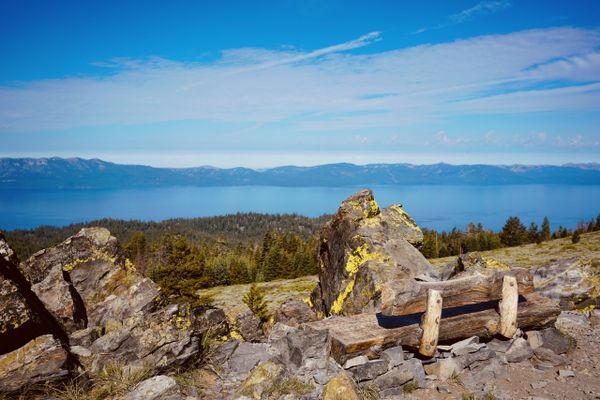 Tahoe Rim Trail – An East Rim Bear Scare