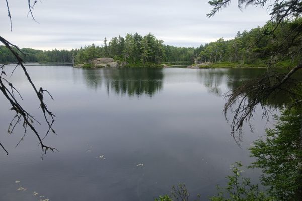 Into the Wilderness – Fox’s AT Thru Hike – Day 126