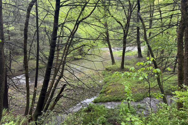 Susquehannock Trail Thru Hike Day Five: Return to Home Port