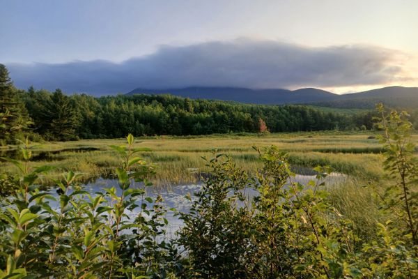 Penultimate Day – Fox’s AT Thru Hike – Day 131