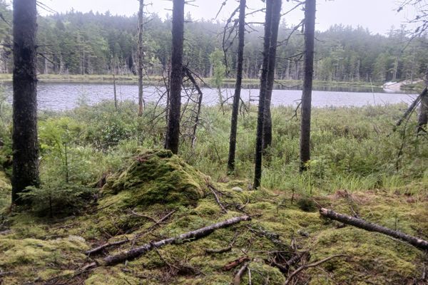 Closing In – Fox’s AT Thru Hike – Day 130
