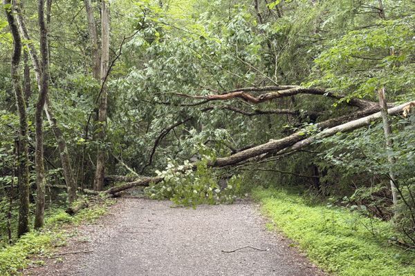 Some Terrible 4th of July Storms