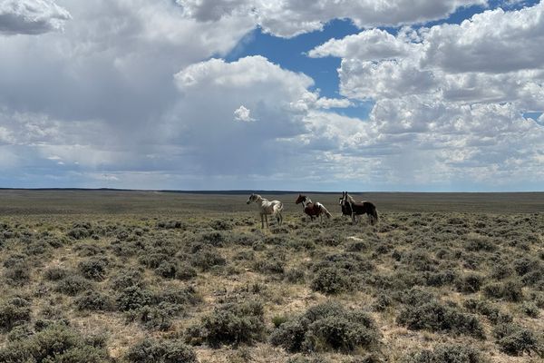 Goodbye Colorado, Hello Wyoming