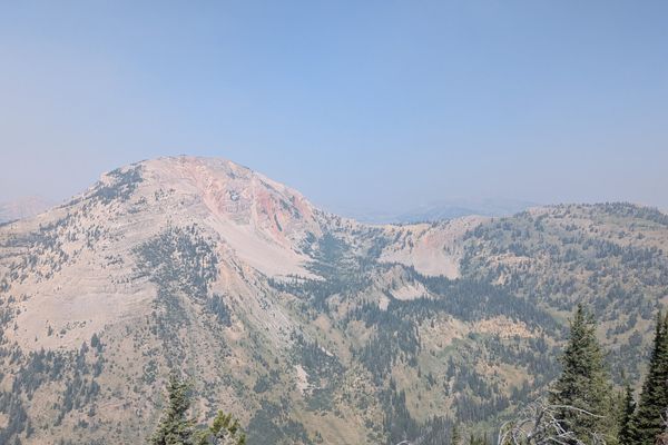 Week 7 on the CDT