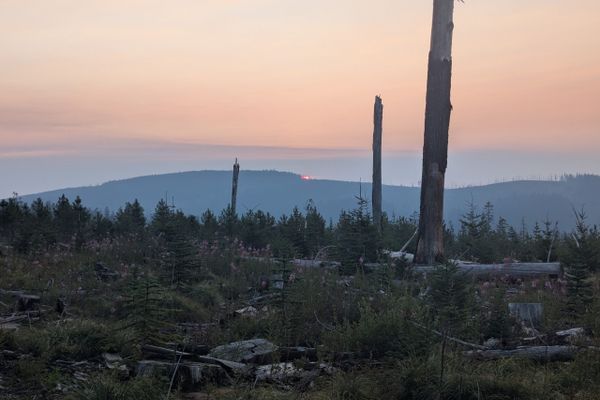 Days 36 – 40 – Smoke and Burn Zones