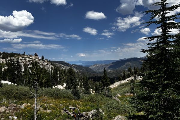 Why Can’t I Breathe? | Tahoe Rim Trail Day One