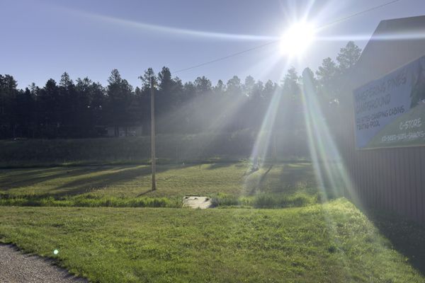 An Ode to Whispering Pines