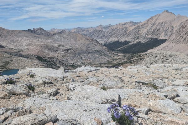 Trail Update #6: The Sierras