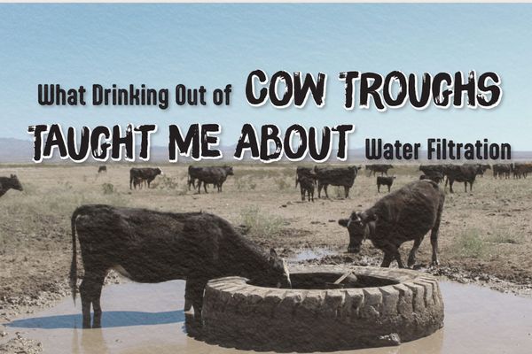 What 800 Miles of Fart-Flavored CDT Cow Troughs Taught Me About Water Filtration