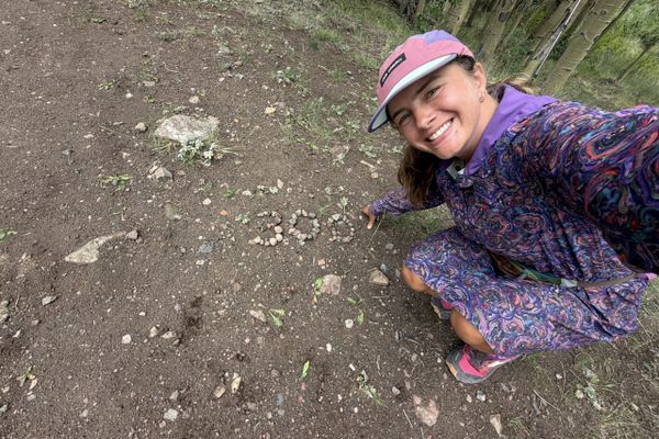 Colorado Trail Days 19-20: 25 Miles in the Rain, 300 Miles & Trail Magic!