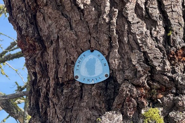Tahoe Rim Trail Days 7-13: Elated at Elevation