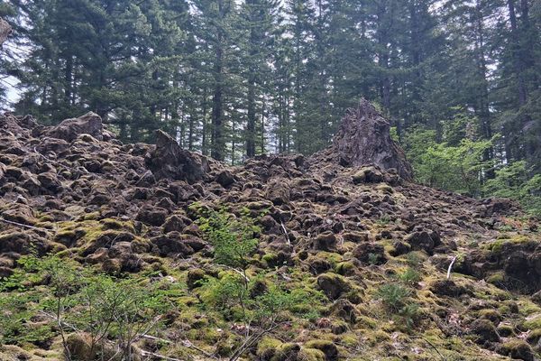 PCT Day 3
