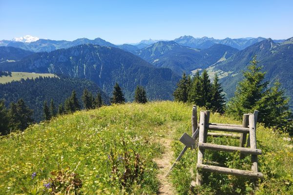 Hiking towards the Sky β Week 6 of the HexaTrek