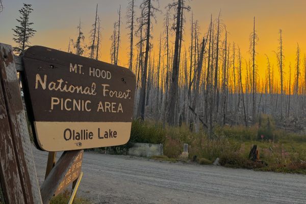 Ch. 101 – Hot Girl Summer & Hazy Horizons