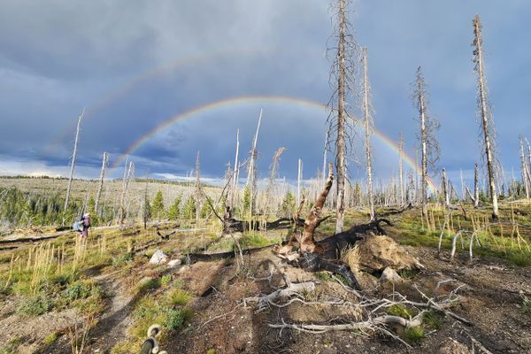Stevensville to Anaconda-Ups and downs in the Anaconda-Pintler Wilderness