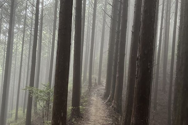 Kumano kodo
