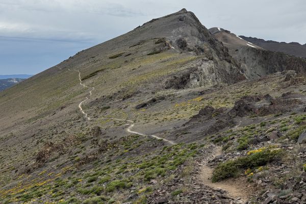 PCT Week 9: On A Mission